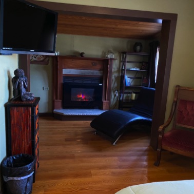 Bedroom Fireplace (electric)